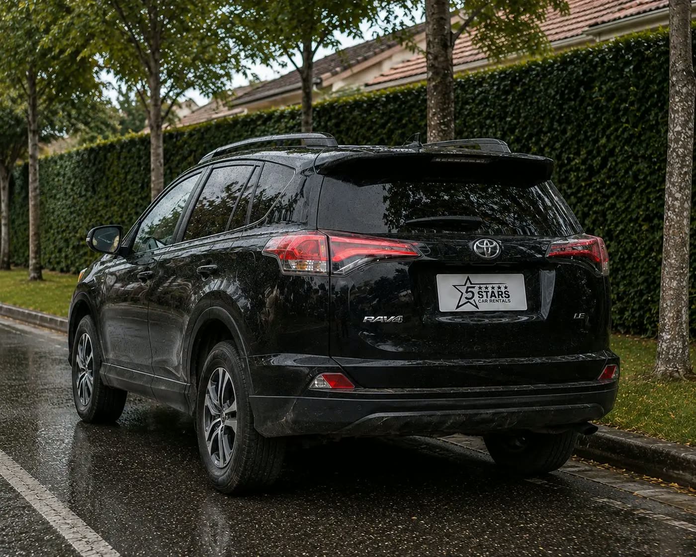 Toyota Rav4 — view 2
